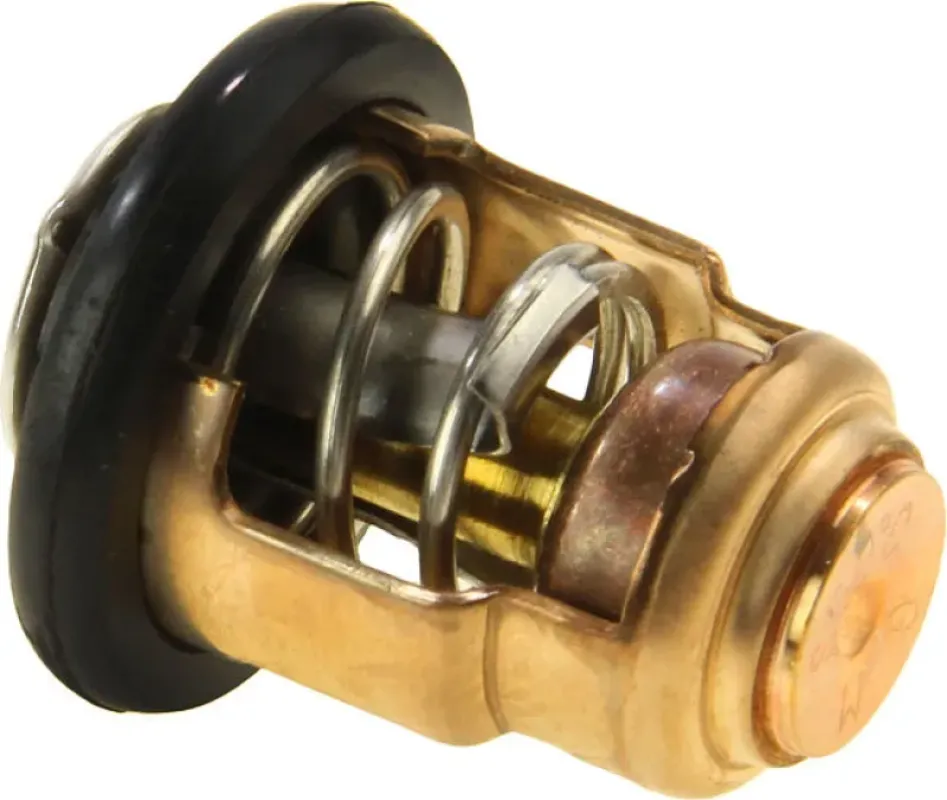 Термостат Yamaha