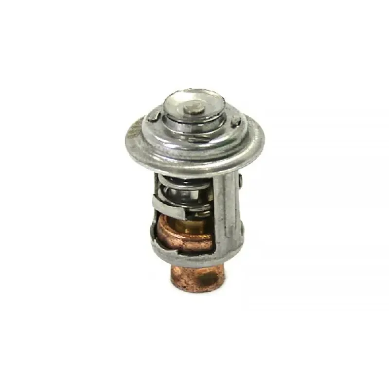 WSM Термостат Mercury