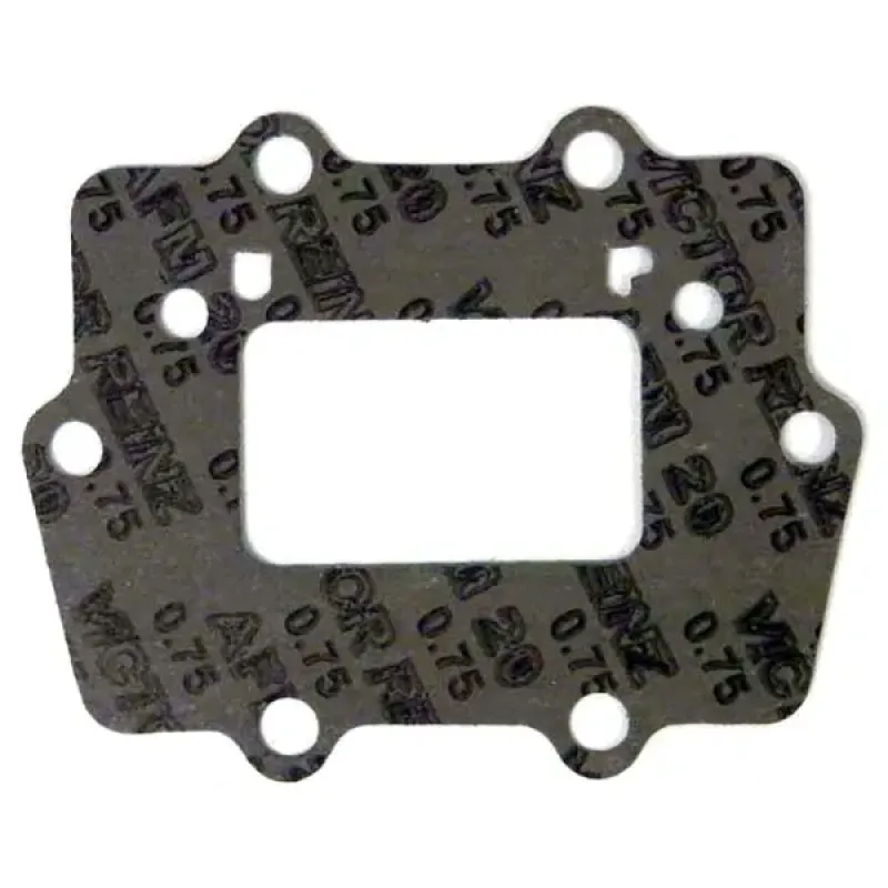 WSM Прокладка лепесткового клапана Kawasaki