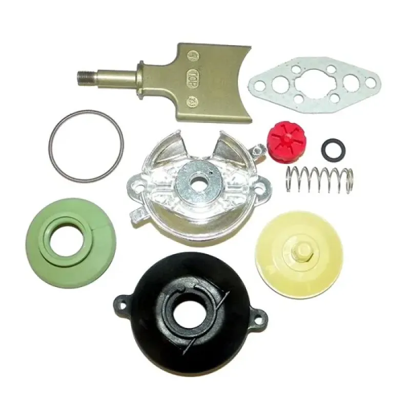 WSM Ремкомплект RAVE клапана BRP 787