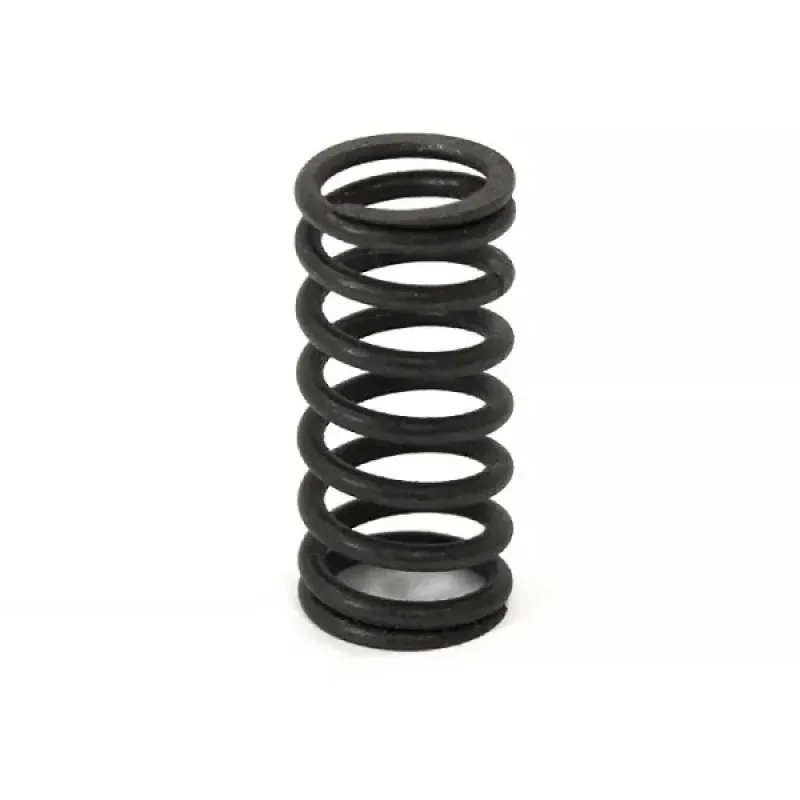 SBT Inc. Внутренняя пружина клапана BRP 1503