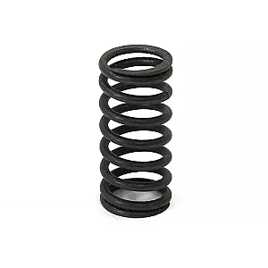 Внутренняя пружина клапана BRP 1503 46-112-78