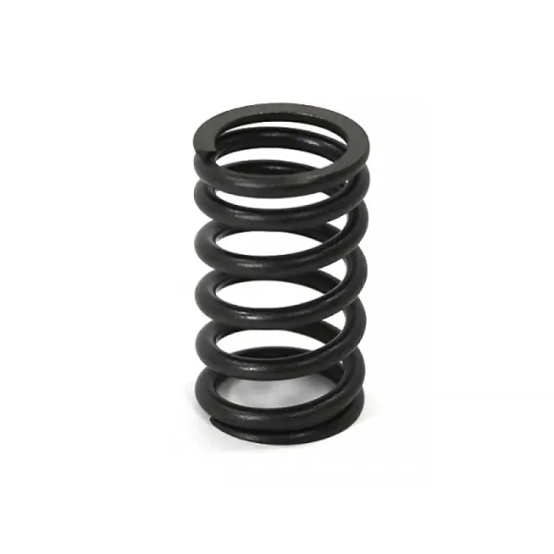 SBT Inc. Внешняя пружина клапана BRP 1503