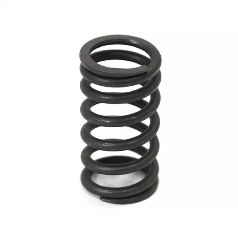 SBT Inc. Пружина клапанов Yamaha 1800