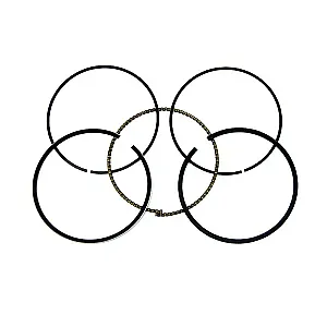 Двигатели Rotax 900 ACE