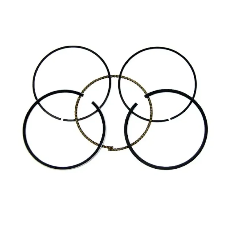 WSM Поршневые кольца BRP 600/900 ACE (+0.25мм)