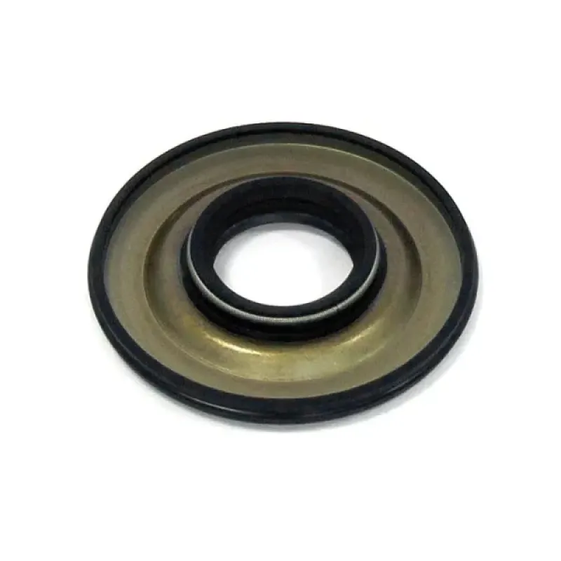 WSM Cальник (Center Pto) BRP 580