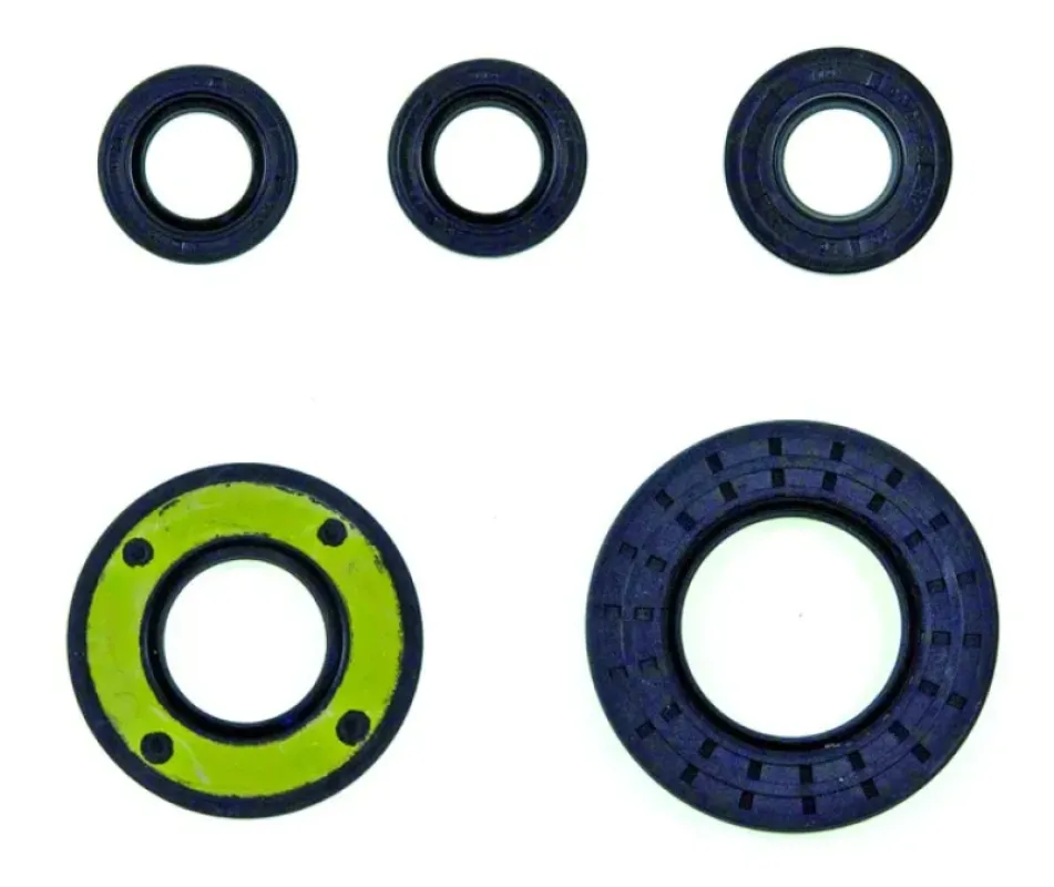 Athena Комплект сальников BRP 787