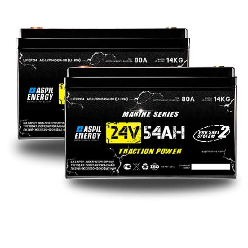 АКБ Aspil Energy 24V 108Ah (ан. GEL/AMG 180Ah) AE-LFP2454x2 (21006117/21006817)