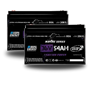 АКБ Aspil Energy 36 V 108Ah (ан. GEL/AGM 185 Ah) AE-LFP3654*2 20002790