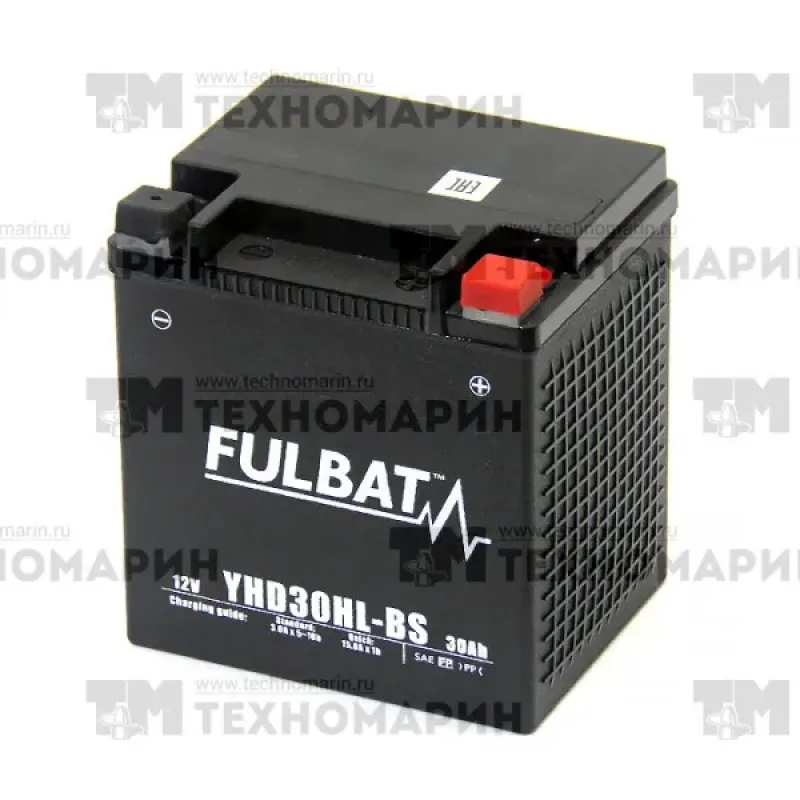 FULBAT Аккумулятор гелевый  (YIX30L-BS)