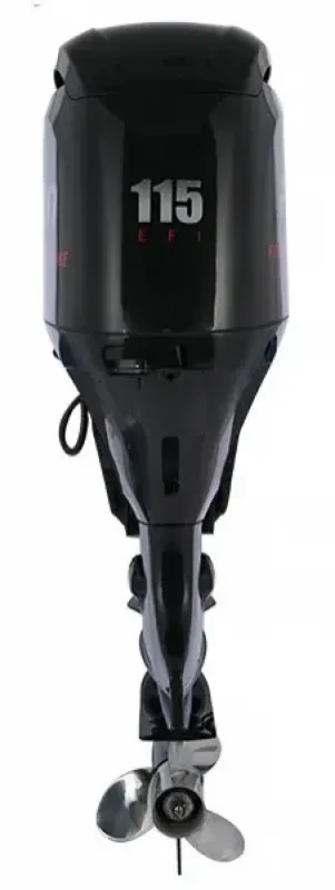 Мотор лодочный PARSUN F115FEL-T EFI