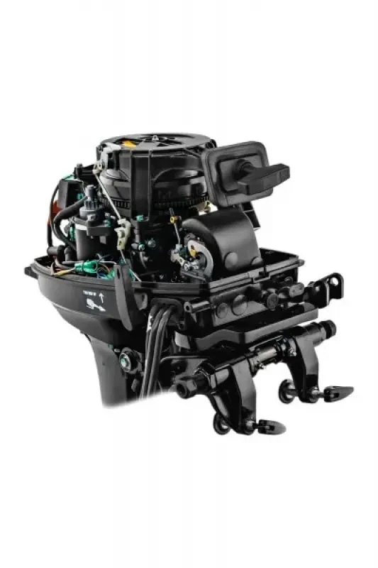 Мотор Reef Rider RR9.9FES Pro