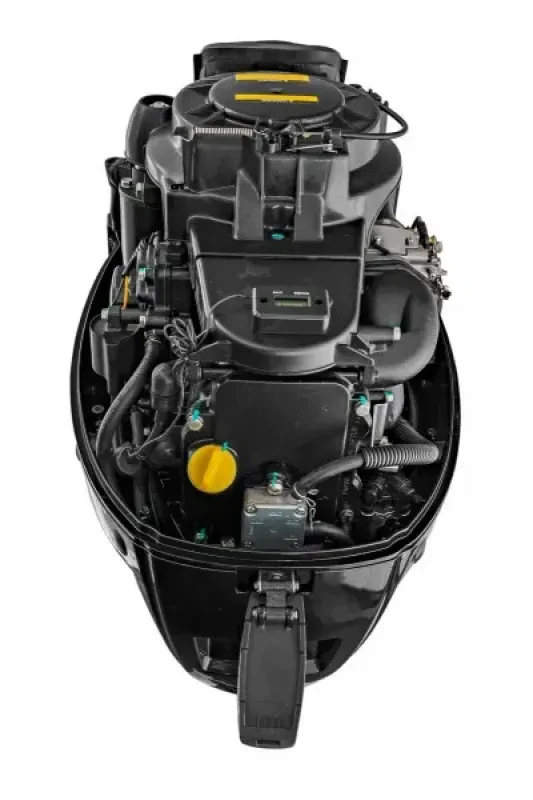 Мотор Reef Rider RRF9.9FES PRO