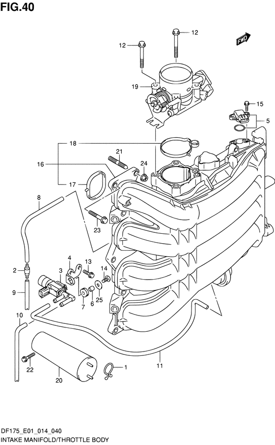 Впускной коллектор/дроссель body ((DF150TG E40))