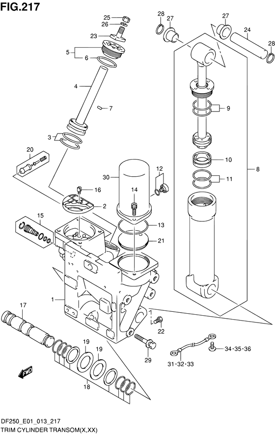 XX) (DF250T E01)) trim цилиндр transom ((x