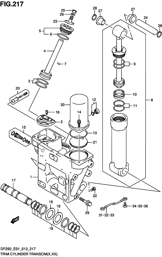 XX) (DF250T E01)) trim цилиндр transom ((x