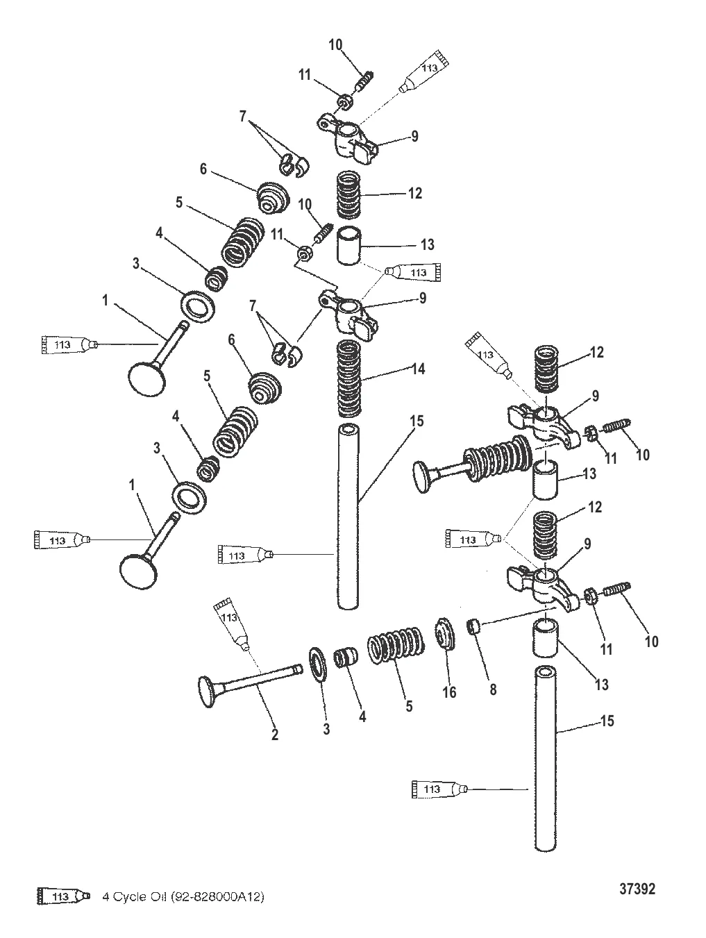 INTAKE/EXHAUST VALVE