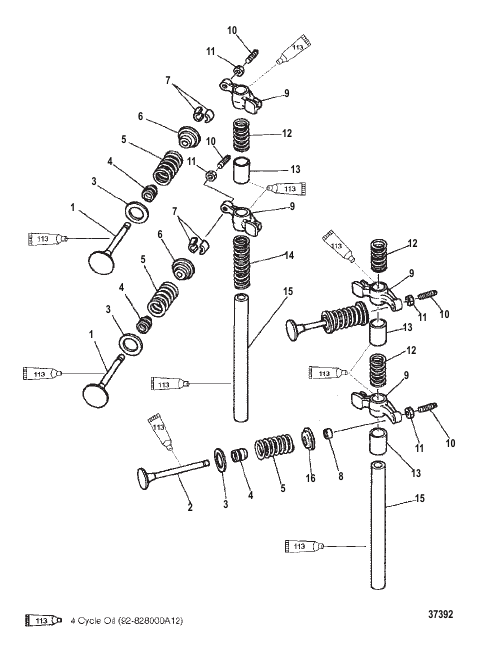 INTAKE/EXHAUST VALVE