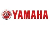 Лепестковые клапаны Yamaha